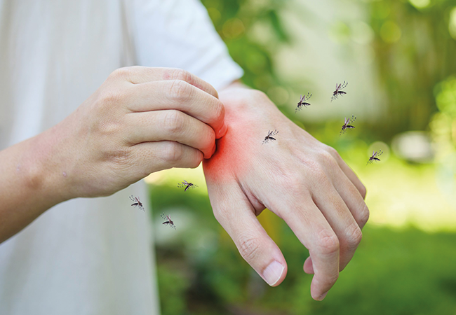 Como proteger seu condomínio da dengue